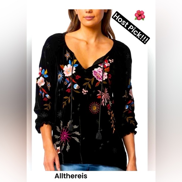 HP๐ JohnnyWas Velvet top  ๐บ๐ธ - Picture 5 of 16